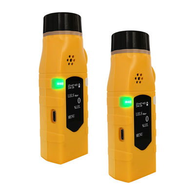 YA-P100 High Precision Versatile Carbon Monoxide Gas Detector Untuk Industri